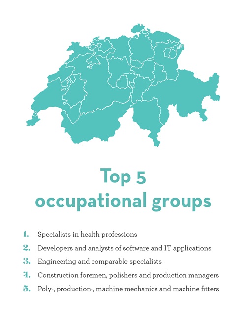 Top 5 Swiss Skills Shortage Graph